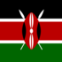 flags-swa